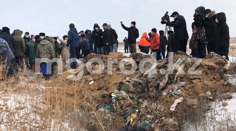 Скандал на свинокомплексе Актюбинской области: экологи обнаружили около 60 тонн отходов животноводства