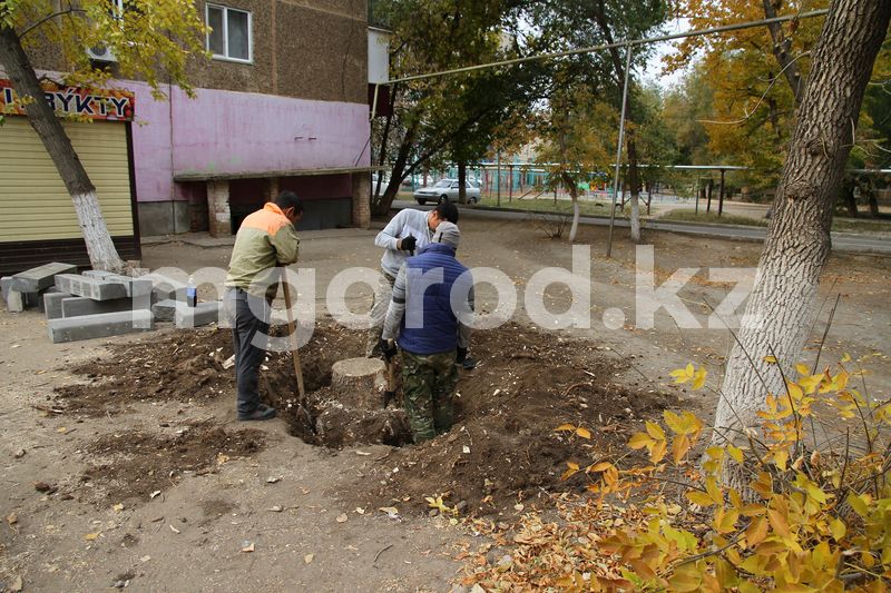 38 киосков по программе «100 торговых мест» установили в Уральске
