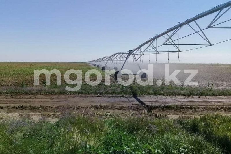 В Жангалинском районе восстанавливают лиманы