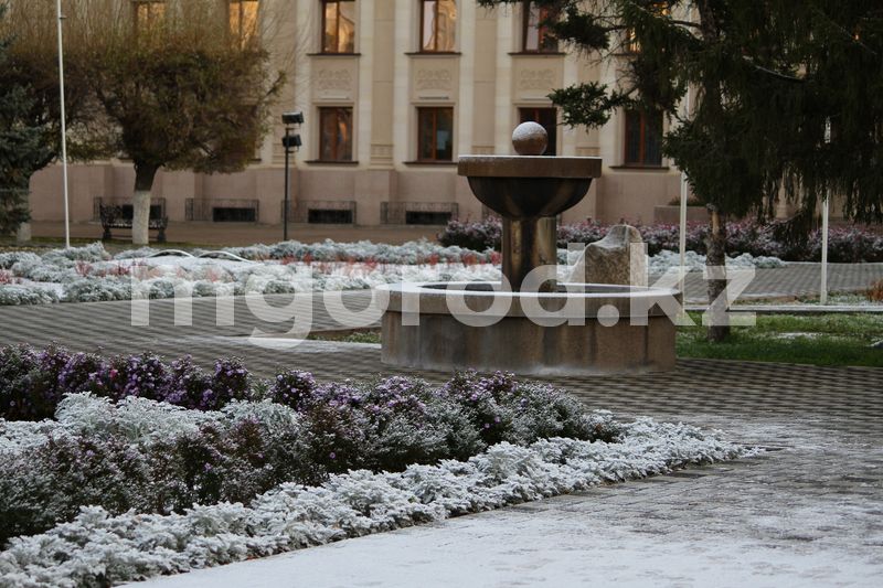 Погода на 25 ноября