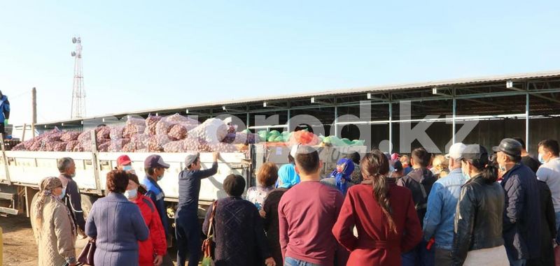 Сельскохозяйственные ярмарки проходят в Жанибекском районе ЗКО