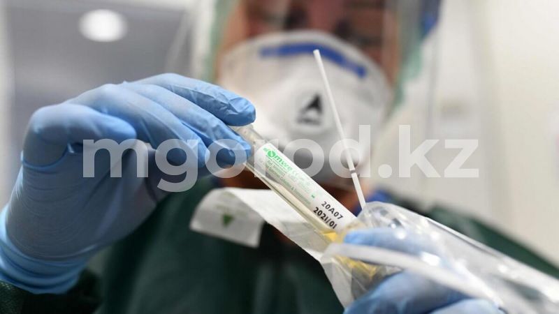 Более 1 млн штрафа заплатит актюбинский врач и её супруг за продажу ПЦР-тестов