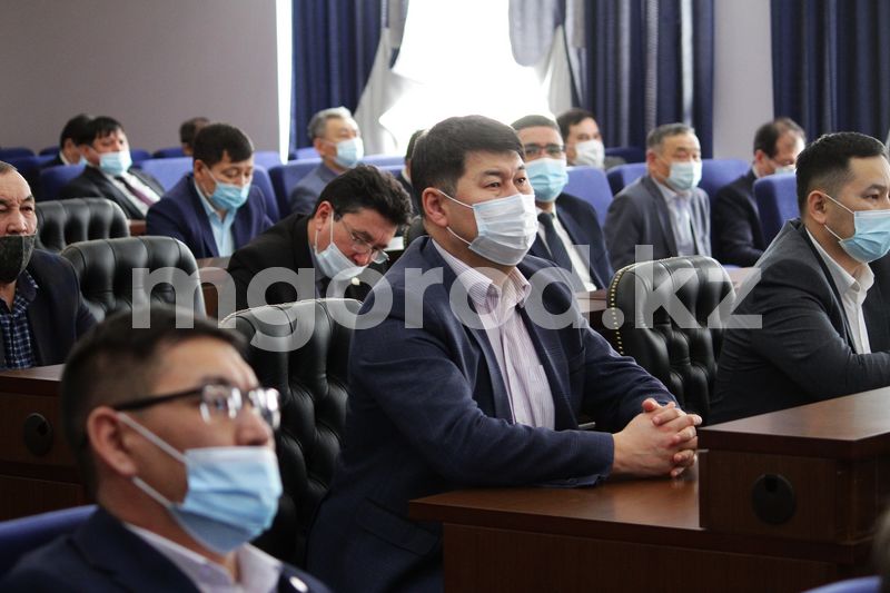 В режиме онлайн. Год пандемии коронавирусной инфекции в Казахстане