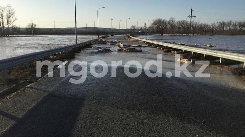 Прорыв плотины в Алматинской области: вода затопила дорогу и собачий приют