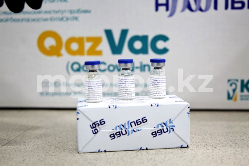 Алексей Цой привился от коронавируса казахстанской вакциной QazVac