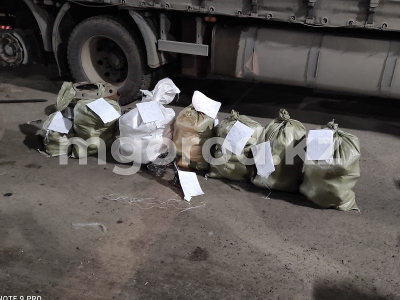 Полицейские ликвидировали крупный канал поставки маковой соломы в ЗКО