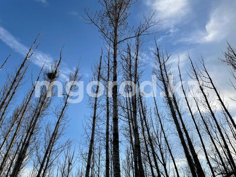 Погода без осадков ожидается в ЗКО