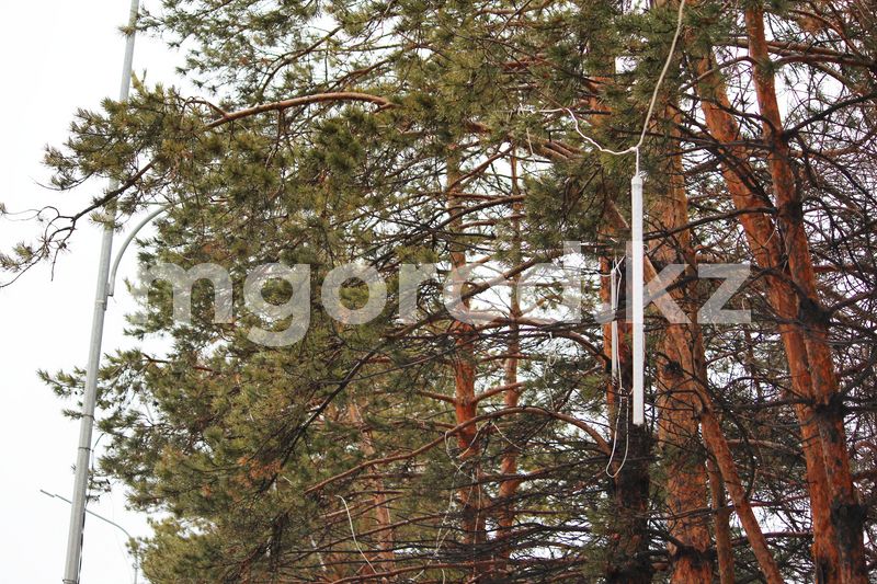 Погода без осадков ожидается в ЗКО