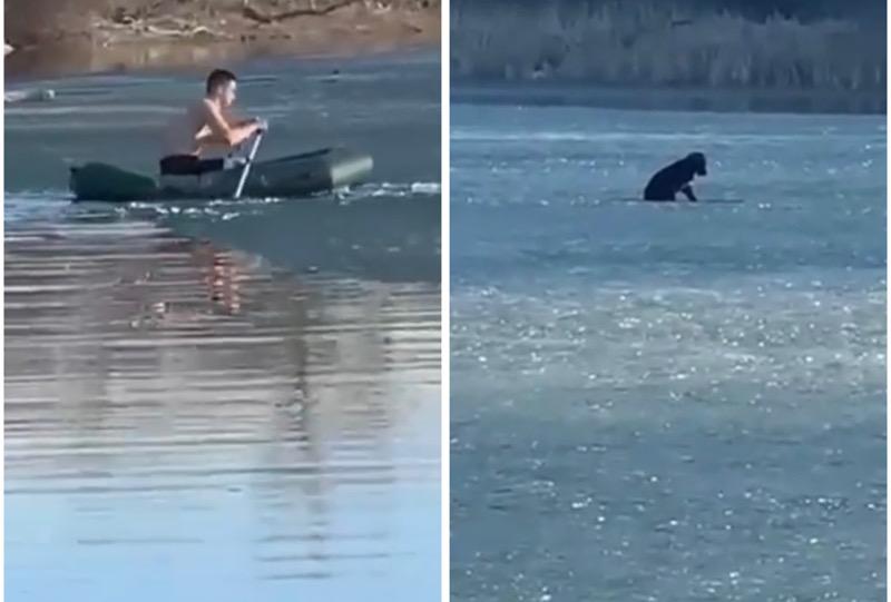 Уральцы сняли на видео мужчину, который пытается спасти собаку, оставшуюся на льду