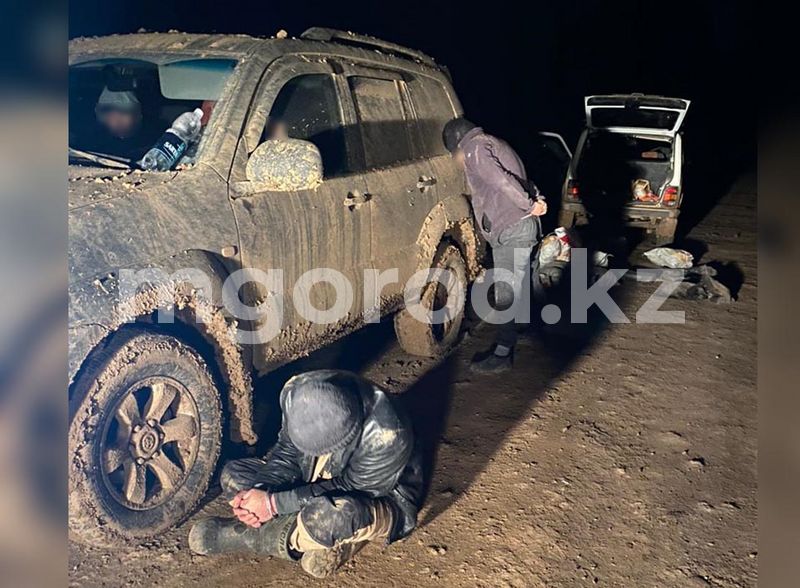 Жители ЗКО спиливали рога с туш мертвых сайгаков (фото)