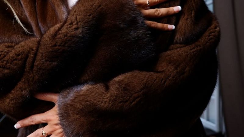 Норковую шубу стоимостью 800 тысяч тенге украли в Актюбинской области