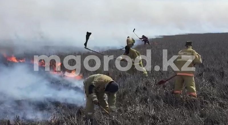 В Атырауской области продолжается тушение камыша на побережье Каспийского моря