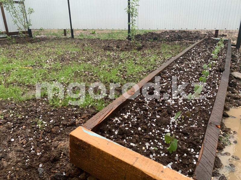 Град ожидается в ЗКО