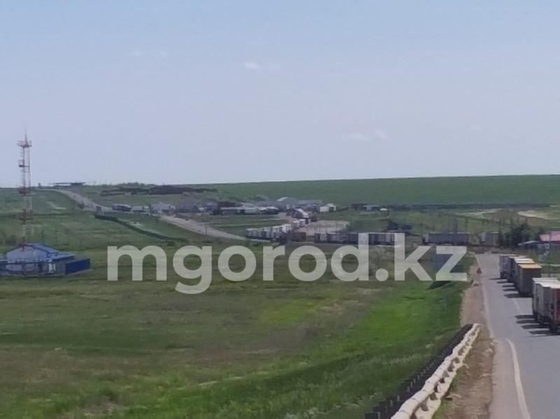 Направлялись в школу: заблудившихся на границе с Россией казахстанцев спасли военные