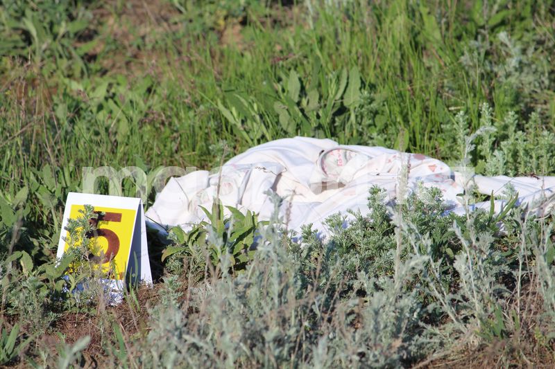 Двое мужчин изнасиловали жительницу Уральска в лесополосе