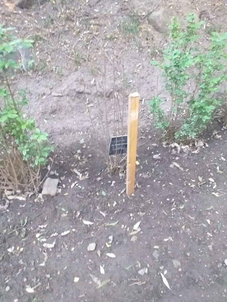 Вандалы сломали таблички на Терренкуре в Алматы