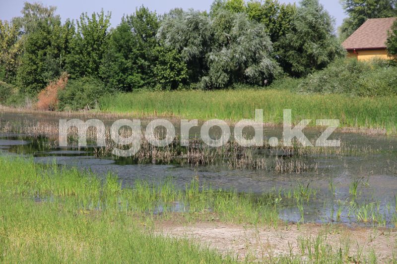 Эпидемиологи в мае проверят места для купаний в Алматы