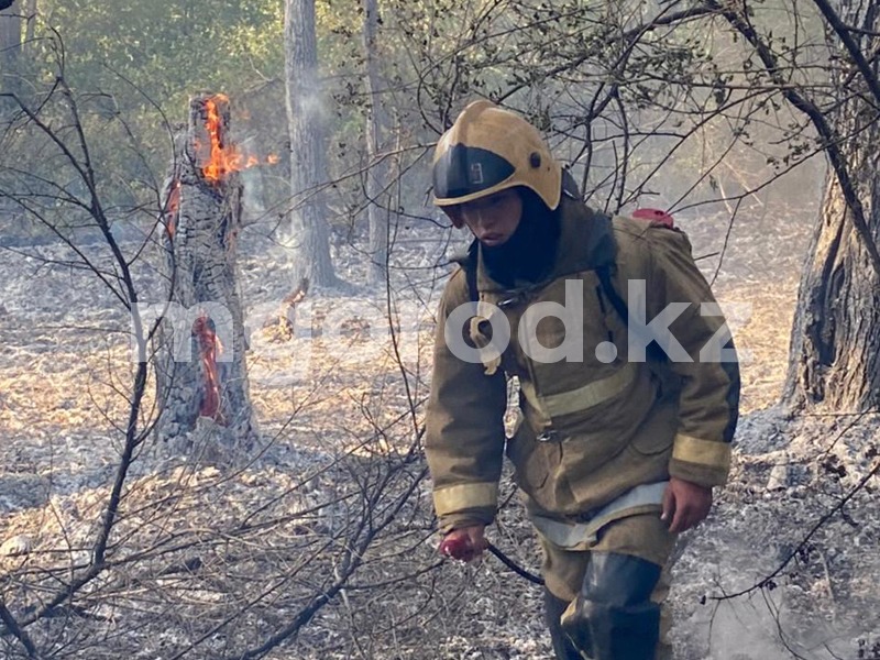 Пять часов тушили огонь вдоль железнодорожного полотна в Бурлинском районе