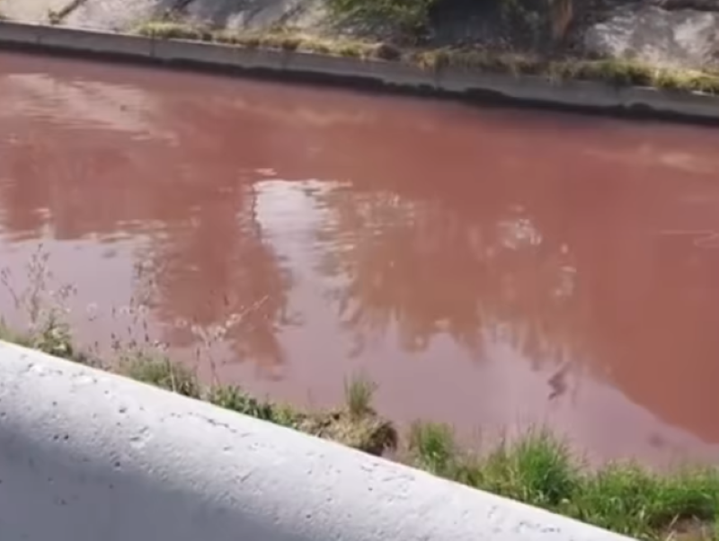Покрасневшую воду в Большой Алматинке сняли на видео