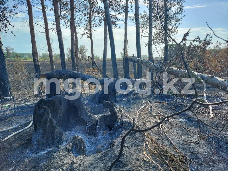 От пожара в ЗКО пострадали дачники
