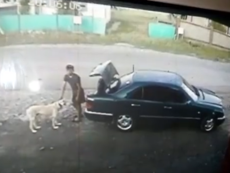 Кража тазы попала на видео в Алматинской области