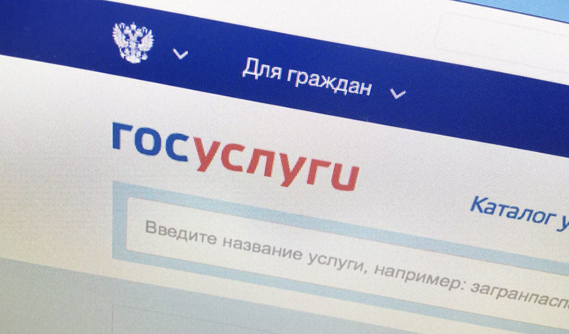 Выявлена схема мошенников по краже данных россиян через «Госуслуги»