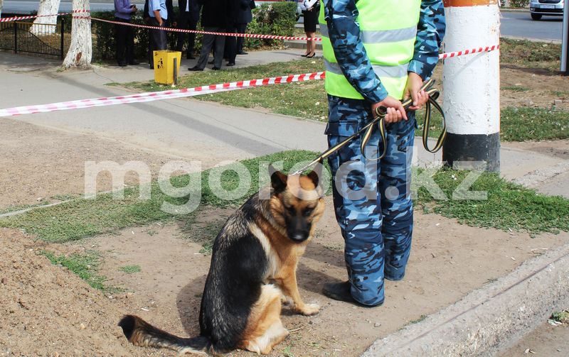 В Актобе вновь «заминировали» здание. На этот раз кафе