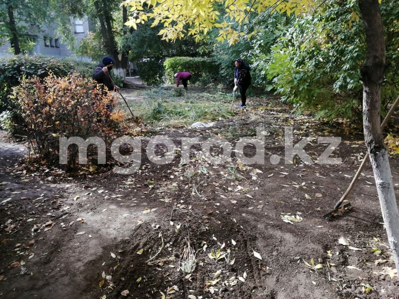 Общегородской субботник пройдёт в Алматы 9 апреля