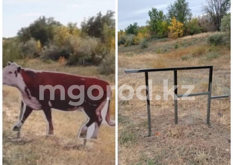 В ЗКО украли макет коровы на автодороге Аксай-Бурлин