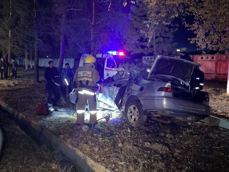 Водитель въехал в столб в Талдыкоргане. Мужчина скончался