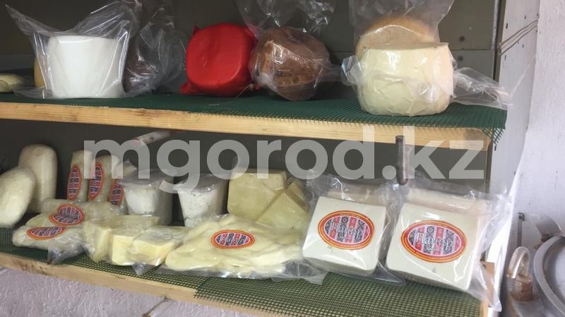 Цех по производству сыра открылся в селе ЗКО