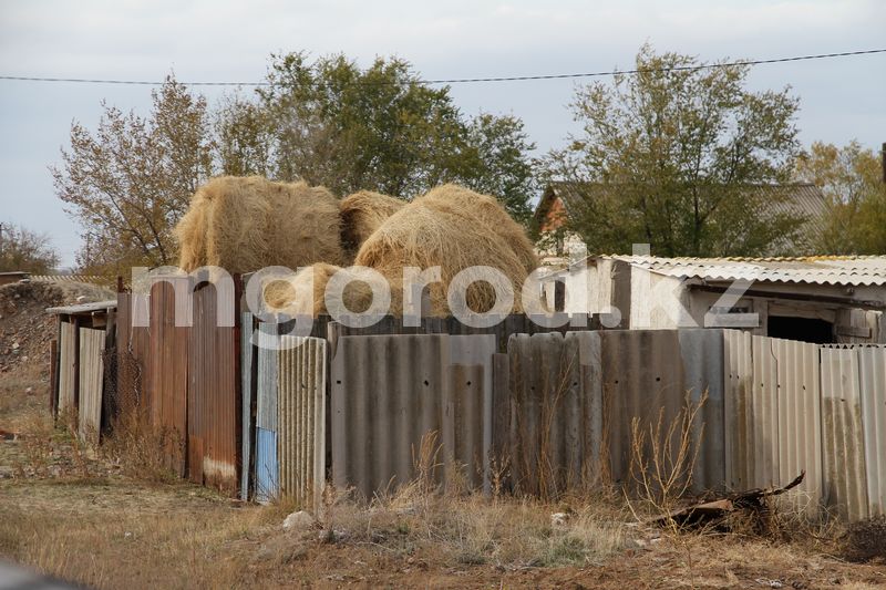 Уснувшего на сеновале мальчика в ЗКО оставили с бабушкой