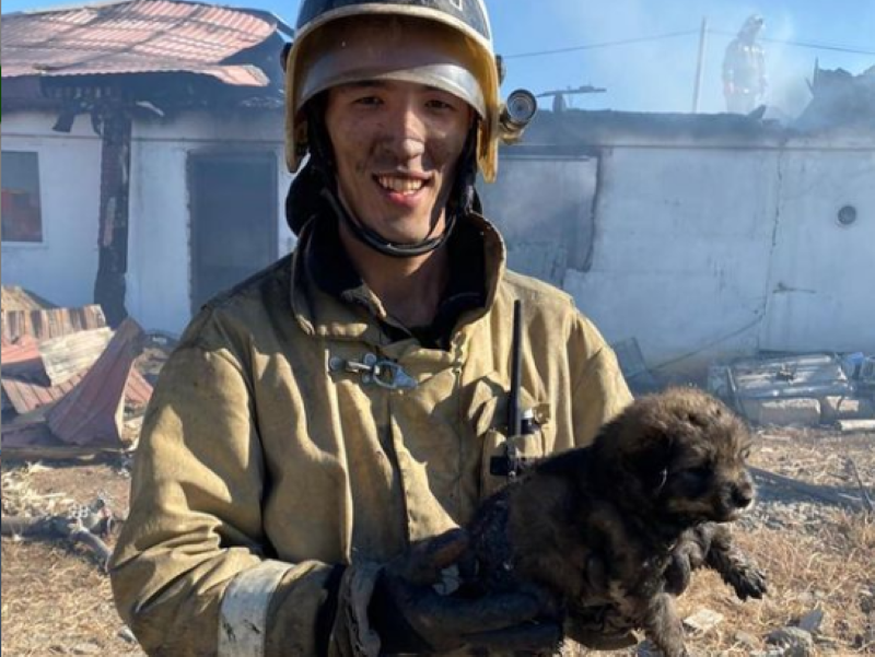 Фото пожарного со спасённым щенком умилило Казнет