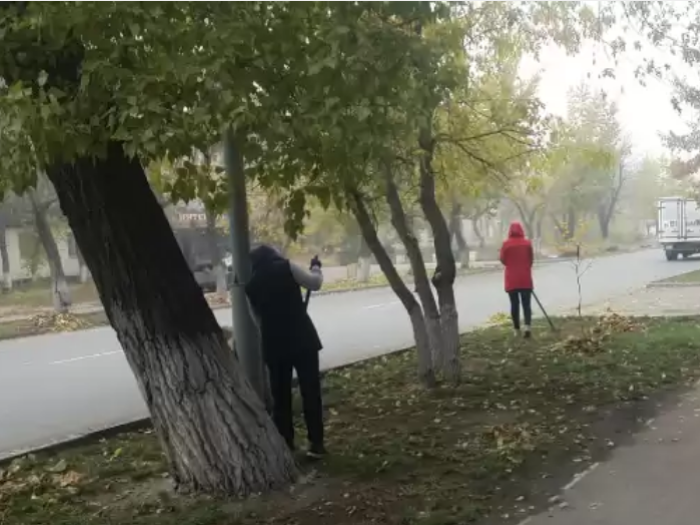 Учителей отправили подметать улицы в Семее