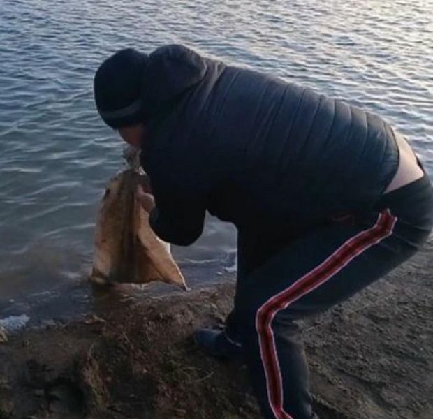 В Атырау дети пытались утопить щенка в мешке