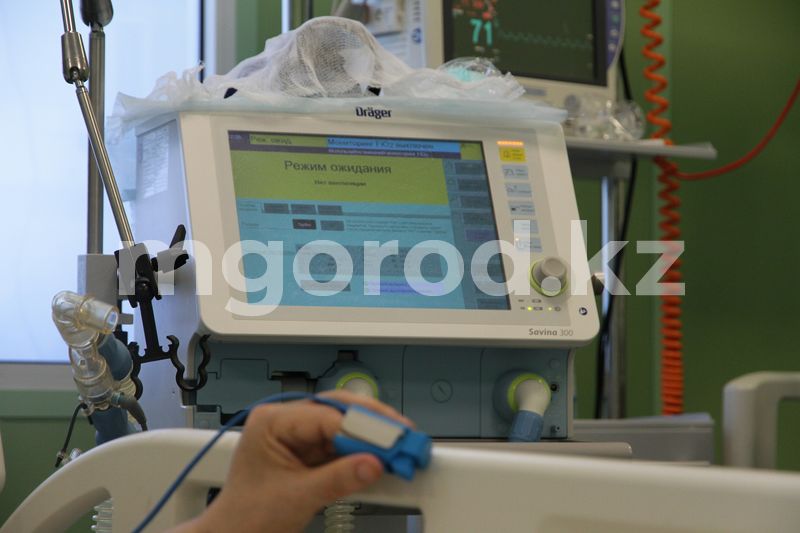 Пять природных очагов чумы расположены в Атырауской области