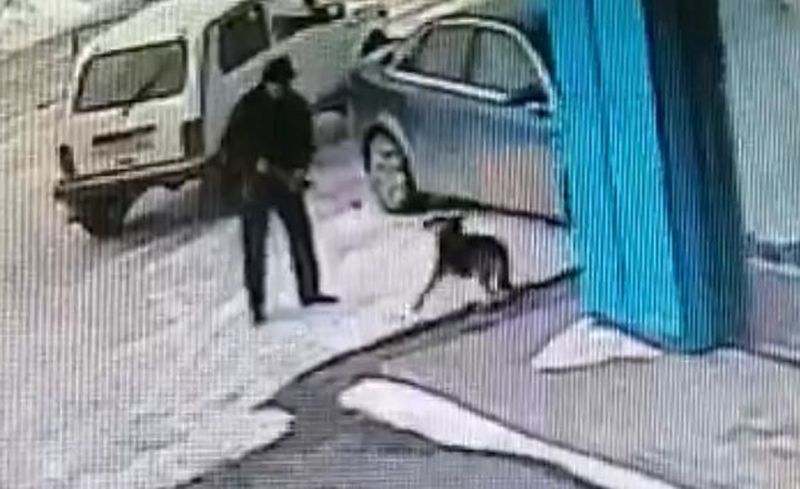 Полиция ЗКО не будет привлекать к ответственности чиновника с винтовкой