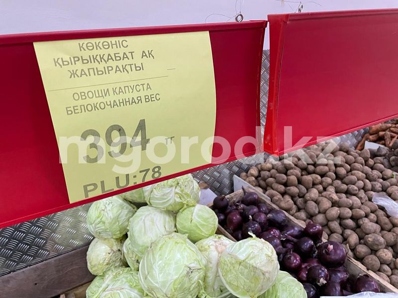 Рост цен на продукты сводит на нет работу по повышению зарплат и пенсий - Смаилов