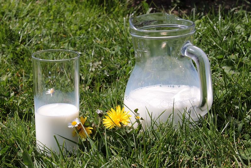 Как определить свежесть молока, сметаны, творога и других молочных продуктов