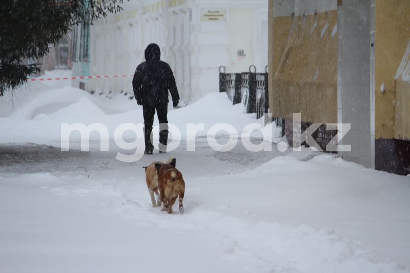 Алматинцев просят не подходить близко к рекам