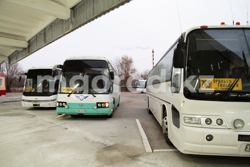 Автобусное сообщение запускают в Уральск из Самары и Тольятти