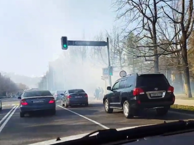 Алматинцев напугал дым в центре города