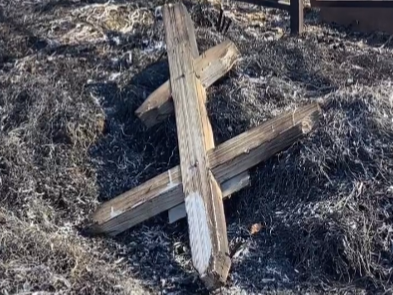Огонь от горящего сухостоя дошёл до кладбища в Алматинской области