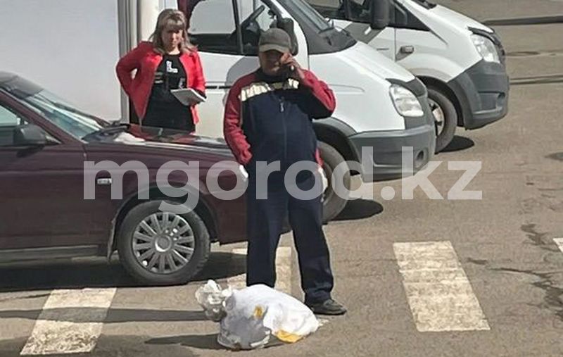На жестокое обращение с бродячими собаками пожаловались жители Уральска