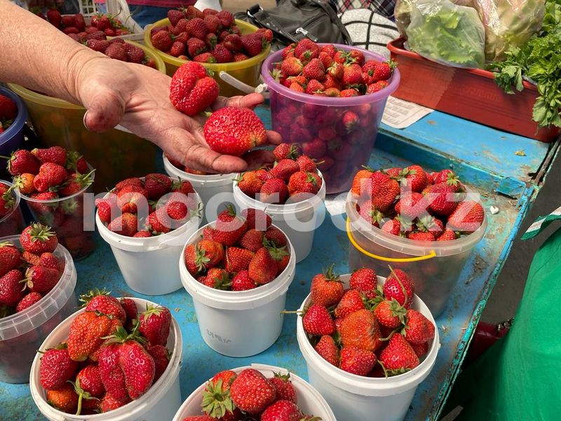 Местную клубнику начали продавать в Уральске