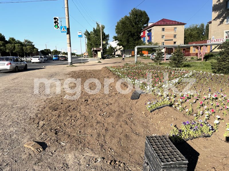 1,5 миллиарда тенге выделили на озеленение Уральска