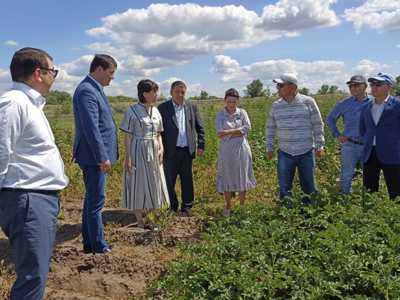 О каких проблемах сенаторам рассказали жители Бурлинского района