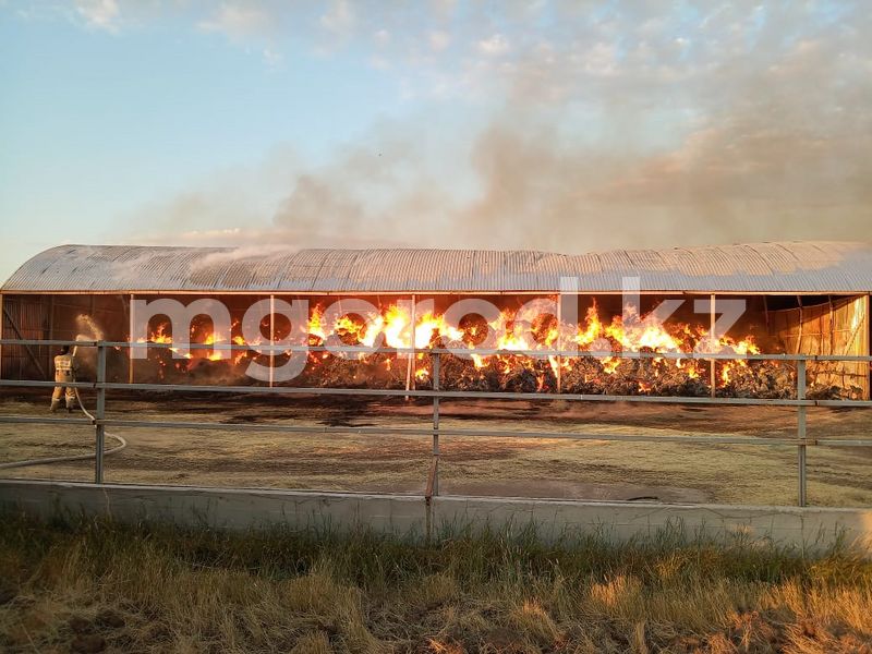 600 тонн сена сгорело в ЗКО. Спасатели подозревают поджог