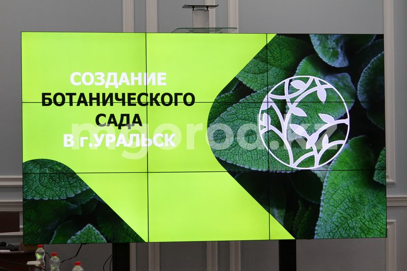 1,9 млрд тенге выделит известный миллиардер на два проекта в Уральске