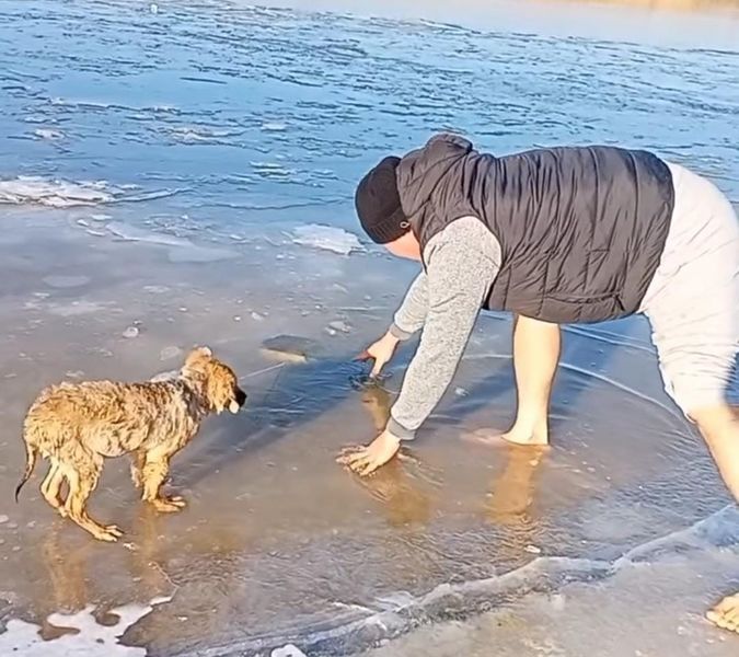Щенка пытались утопить в Атырау